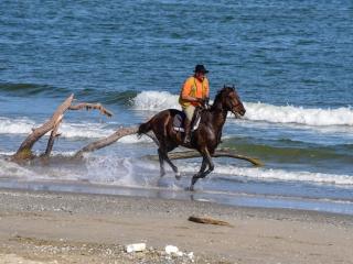 img12
