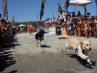 img11