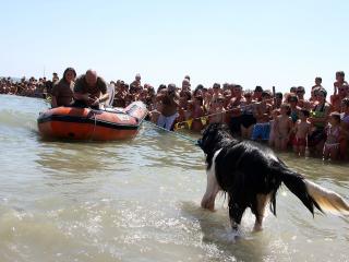 img12