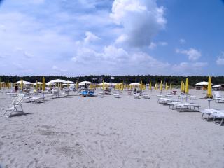 img2