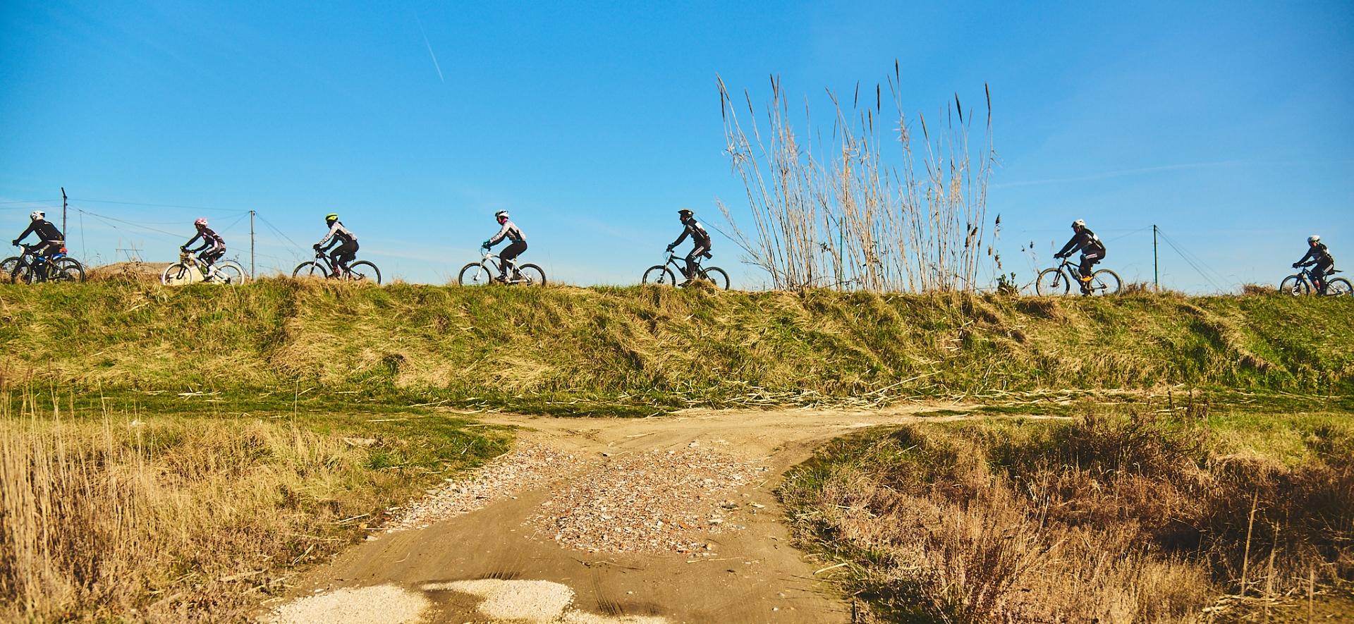 alohabeach en bike-rental 005