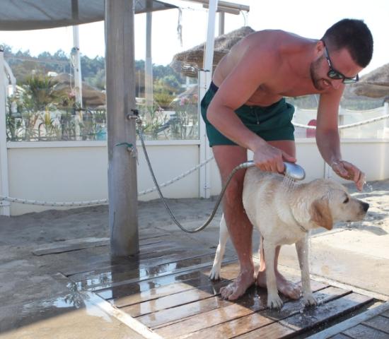 alohabeach it spiaggia-per-fido 007