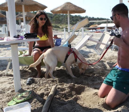 alohabeach it spiaggia-per-fido 009