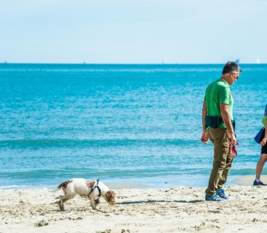 alohabeach it spiaggia-per-fido 010