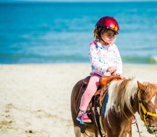 alohabeach it il-mare-autunno 011